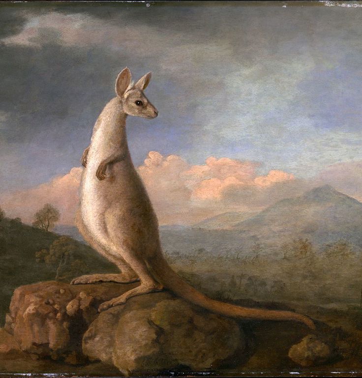 1772
