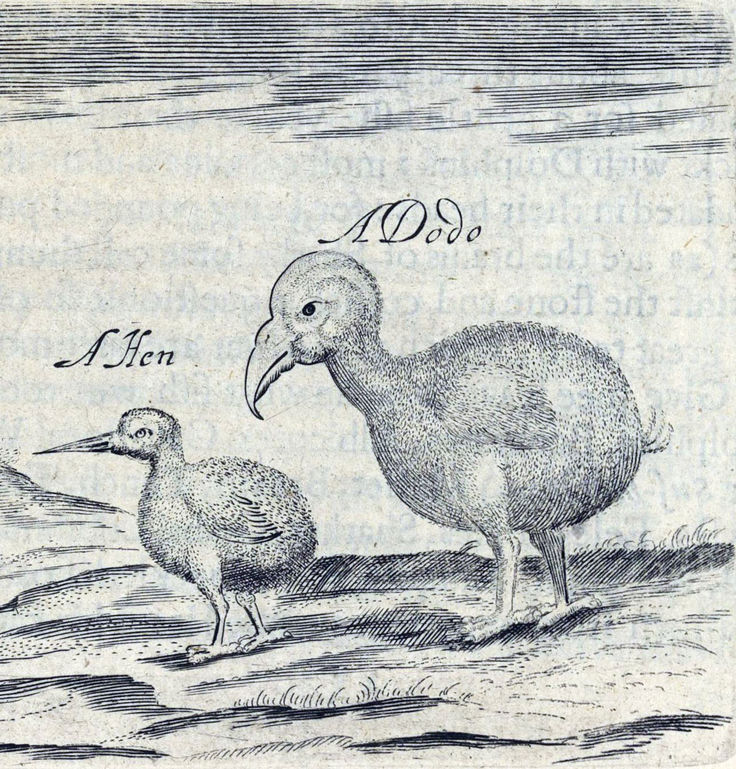 1681